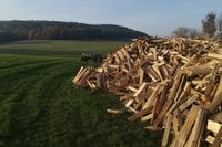 Brennholz in Thurnau und Umgebung - Land- & Forstbetrieb - Täuber Benni
